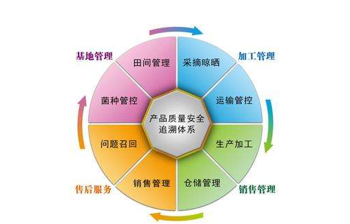 产品追溯系统有哪些公司，是怎样开发系统的？