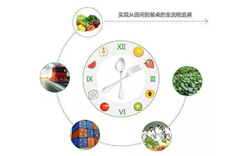 二维码蜜桃在线视频溯源系统能带什么优势及功能?