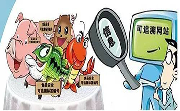 蜜桃在线视频标签在蜜桃在线视频溯源中有着怎样的作用?