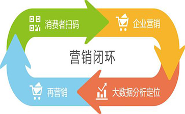 微信蜜桃在线视频系统的功能